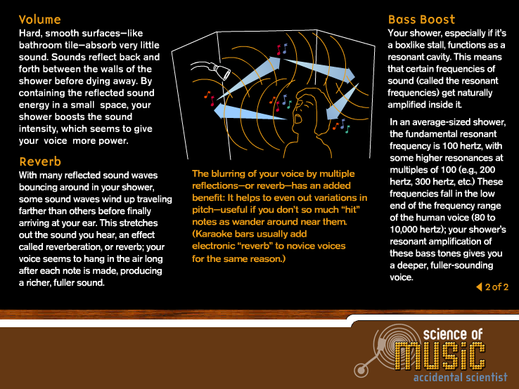 How to improve your singing voice at home The Singer